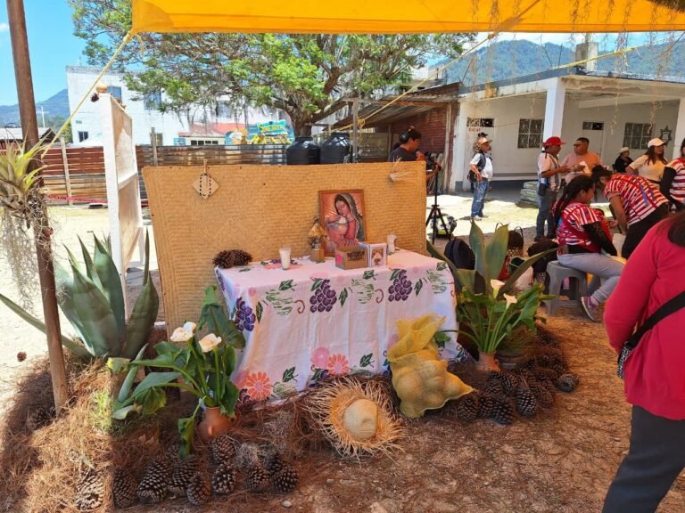Feria del Pulque en la Fiesta Patronal
